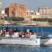 Il catamarano Taras di 12 metri che ospita fino a un massimo di trenta persone ed  il mezzo ideale per lo studio dei cetacei
